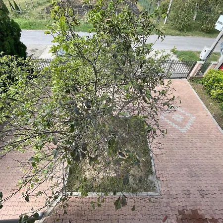 Magnolia Apartman Zimony
